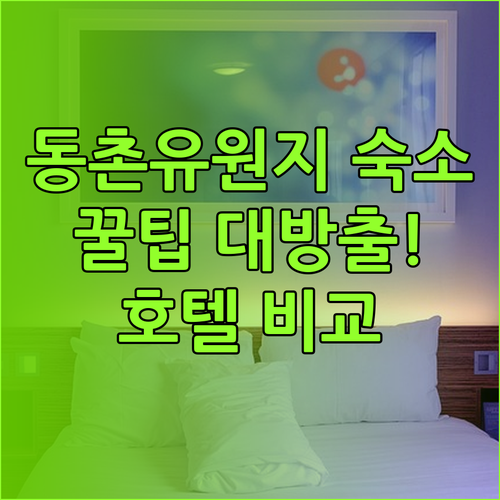 대구 동촌유원지 근처 숙소 꿀팁 대방