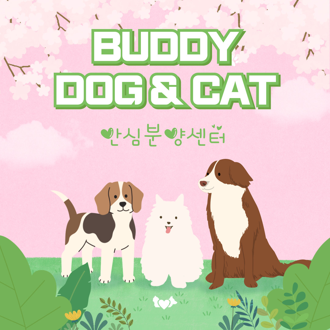 버디독 강아지분양 고양이분양 안심분양센터 광명점