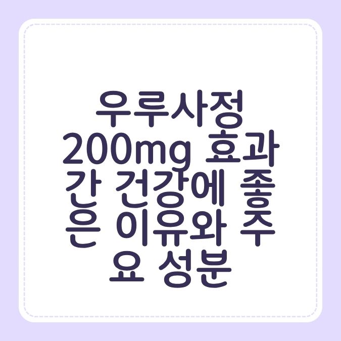 우루사정 200mg 효과 간 건강에 좋은 이유와 주요 성분