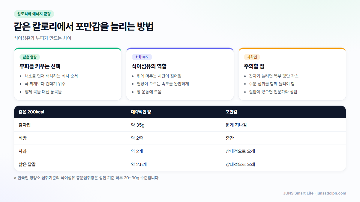 같은 칼로리에서 포만감을 늘리는 방법 - 식이섬유와 부피가 만드는 차이를 정리한 도표