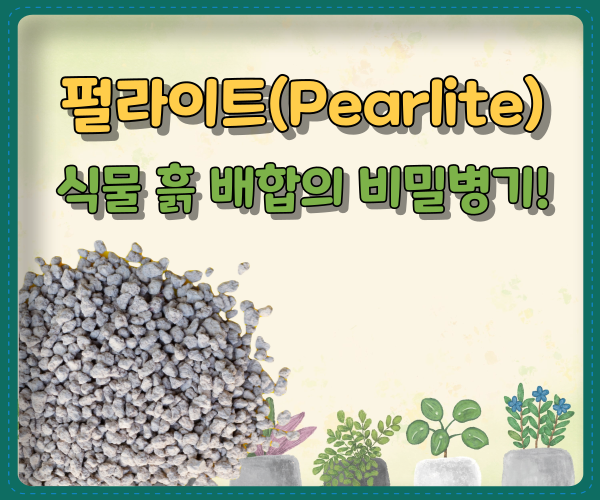 펄라이트(Pearlite) 식물 흙 배합의 비밀병기!