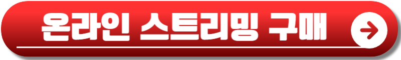 아이브 콘서트