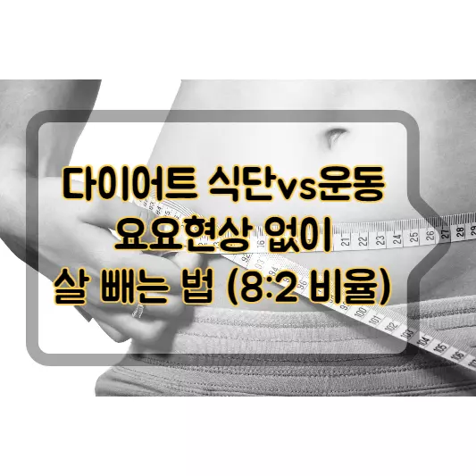 다이어트-식단-운동-요요현상-없이-살-빼는-법