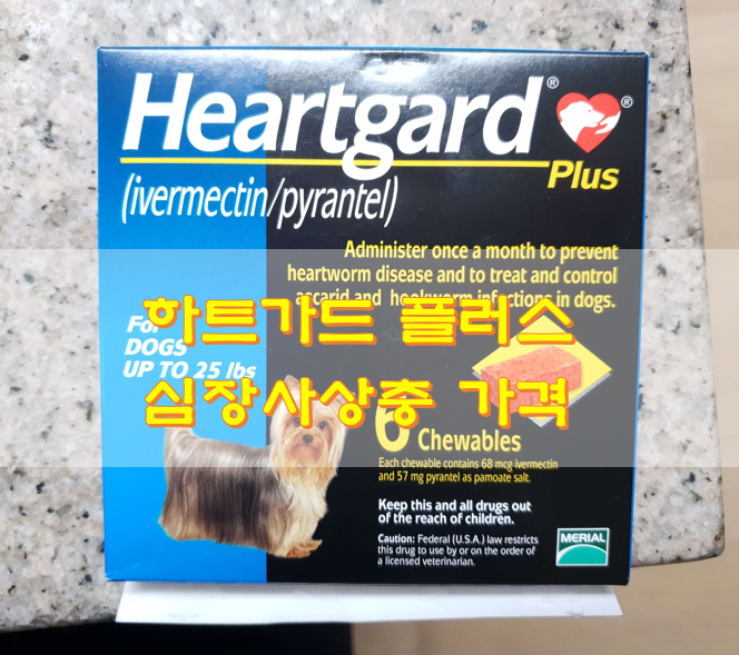 하트가드-표지-사진