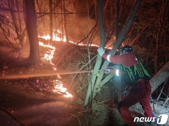 홍성 대전 산불