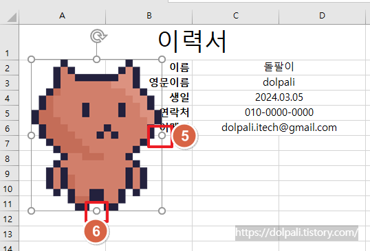셀 크기에 사진(이미지) 자동 맞추기