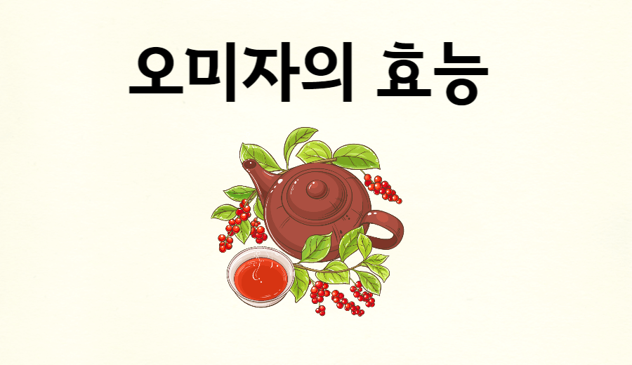 오미자의효능썸네일