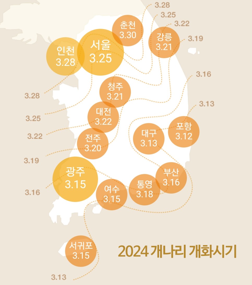 2024 벚꽃 개화시기 : 벚꽃 축제 일정, 축제 명소, 진해 군항제