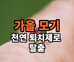 모기 피하는 법, 퇴치제 만들기