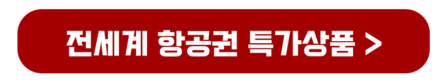 전세계 항공권 특가상품 보기