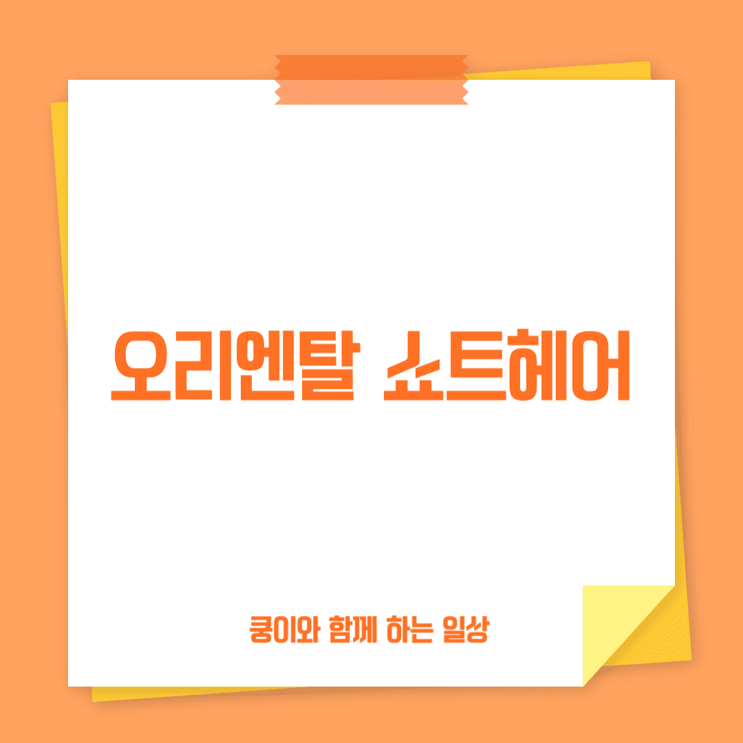 오리엔탈 쇼트헤어(Oriental Shorthair)