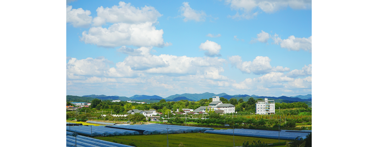 부여군 이비인후과