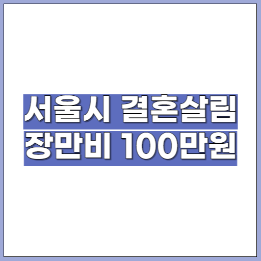 서울시 결혼살림 장만비 100만원