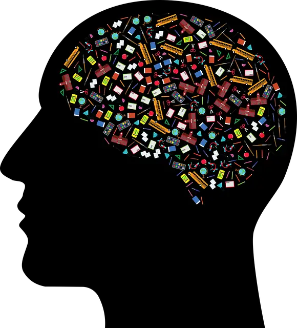 교육 심리학 메타인지