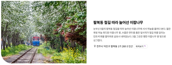 벚꽃