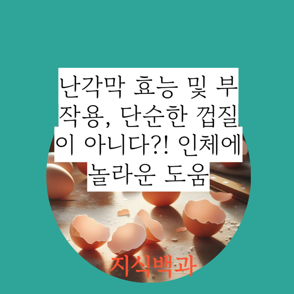 난각막 효능 및 부작용, 단순한 껍질이 아니다?! 인체에 놀라운 도움