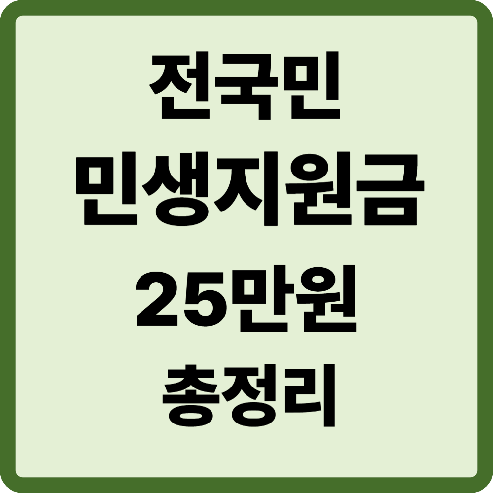 전국민 민생지원금 25만원