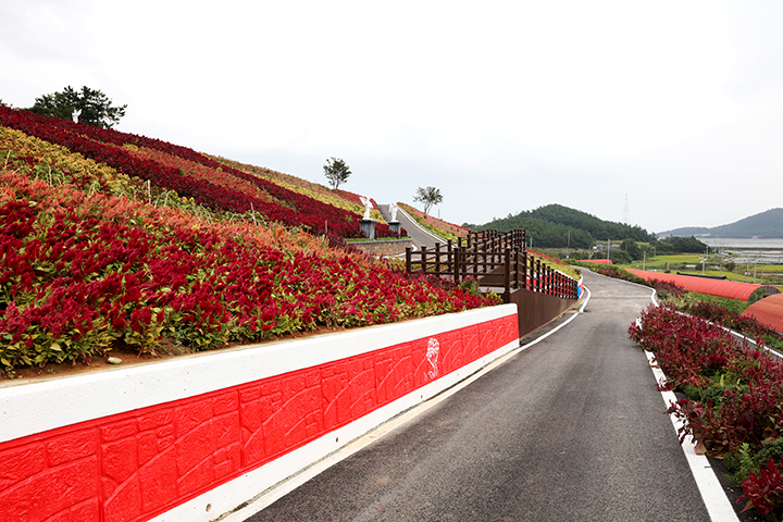 2025년 포토존 여행지 베스트