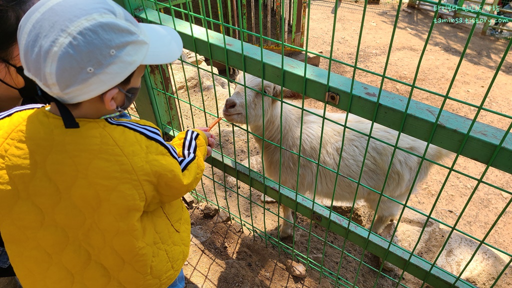 용도수목원먹이체험장