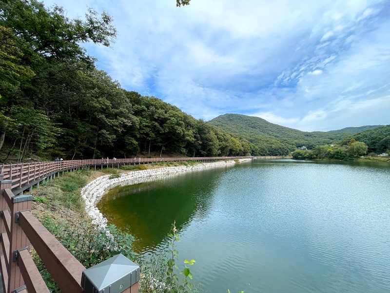 경기도 파주 마장호수출렁다리 소개