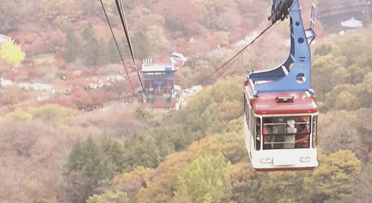 정읍 내장산 케이블카에서 단풍 너머 풍경을 바라보는 관광객들. [ⓒ네이버 플레이스 &lsquo;내당산 국립공원케이블카&rsquo;]