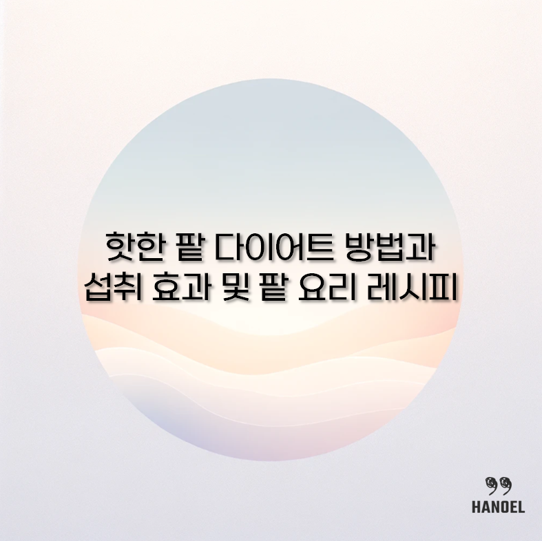 팥 다이어트