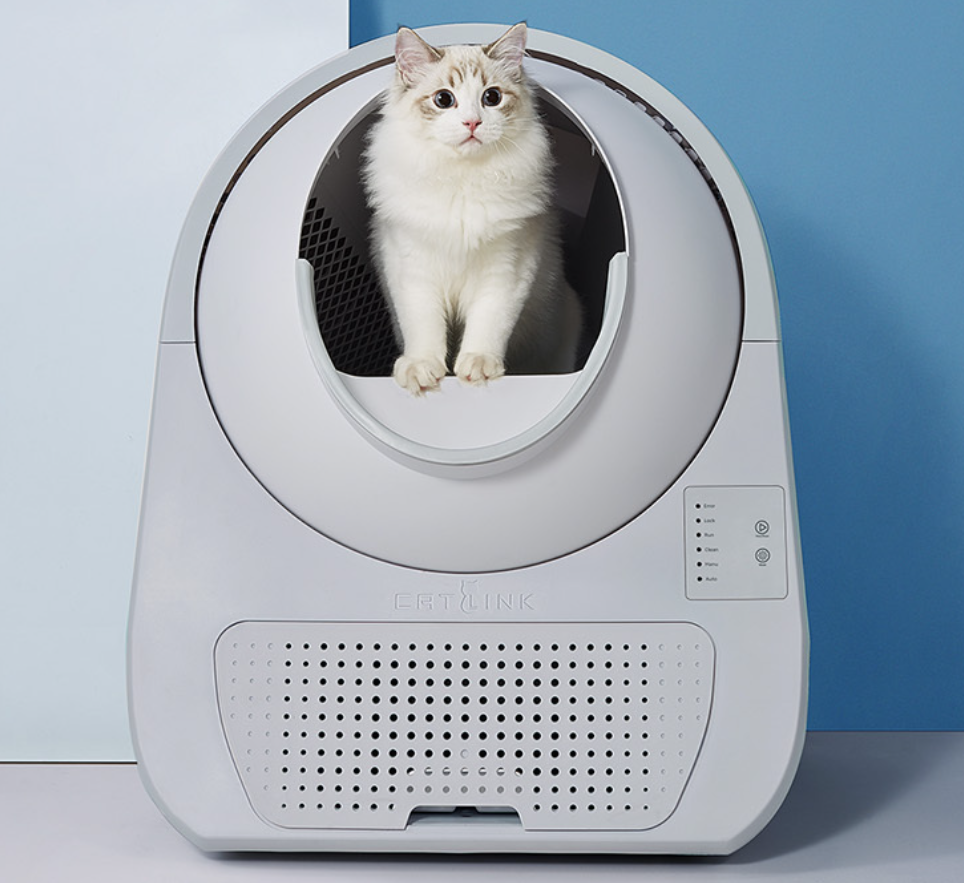 고양이 자동 화장실 적응 훈련 팁