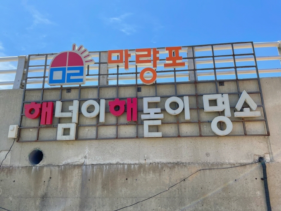 동백꽃 주꾸미 축제