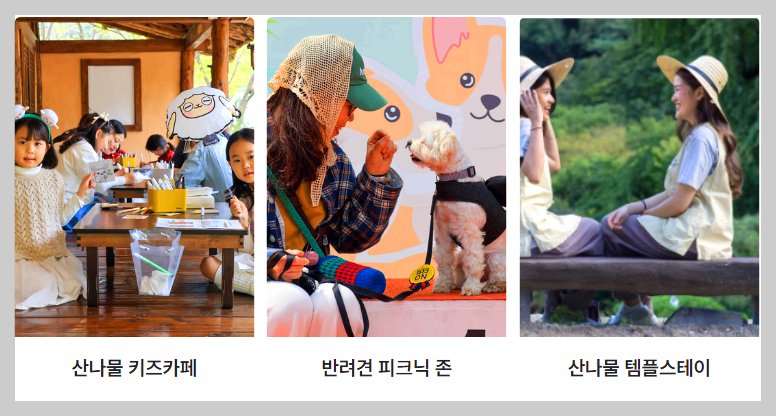 용문산 산나물축제