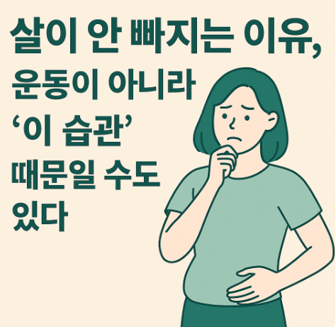살이 안 빠지는 이유