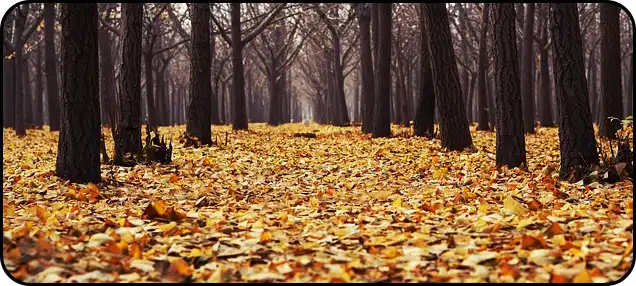 ๋ด์ฅ์ฐ ๋ฑ์ฐ์ฝ์ค ์ถ์ฒ(+ ๋ฑ์ฐ์ง๋ )