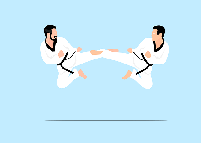 올림픽 태권도 일정