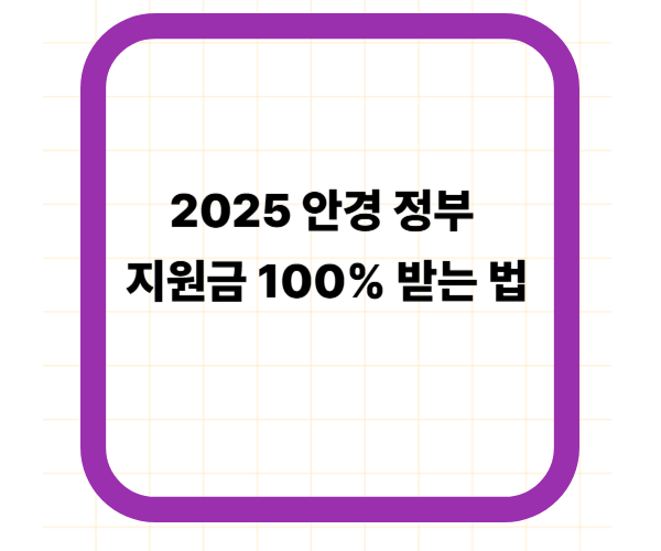 2025 안경 정부 지원금 100% 받는 법