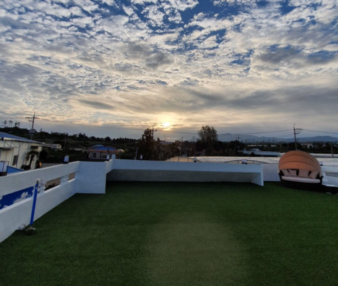 제주 애견동반 숙소 BEST5