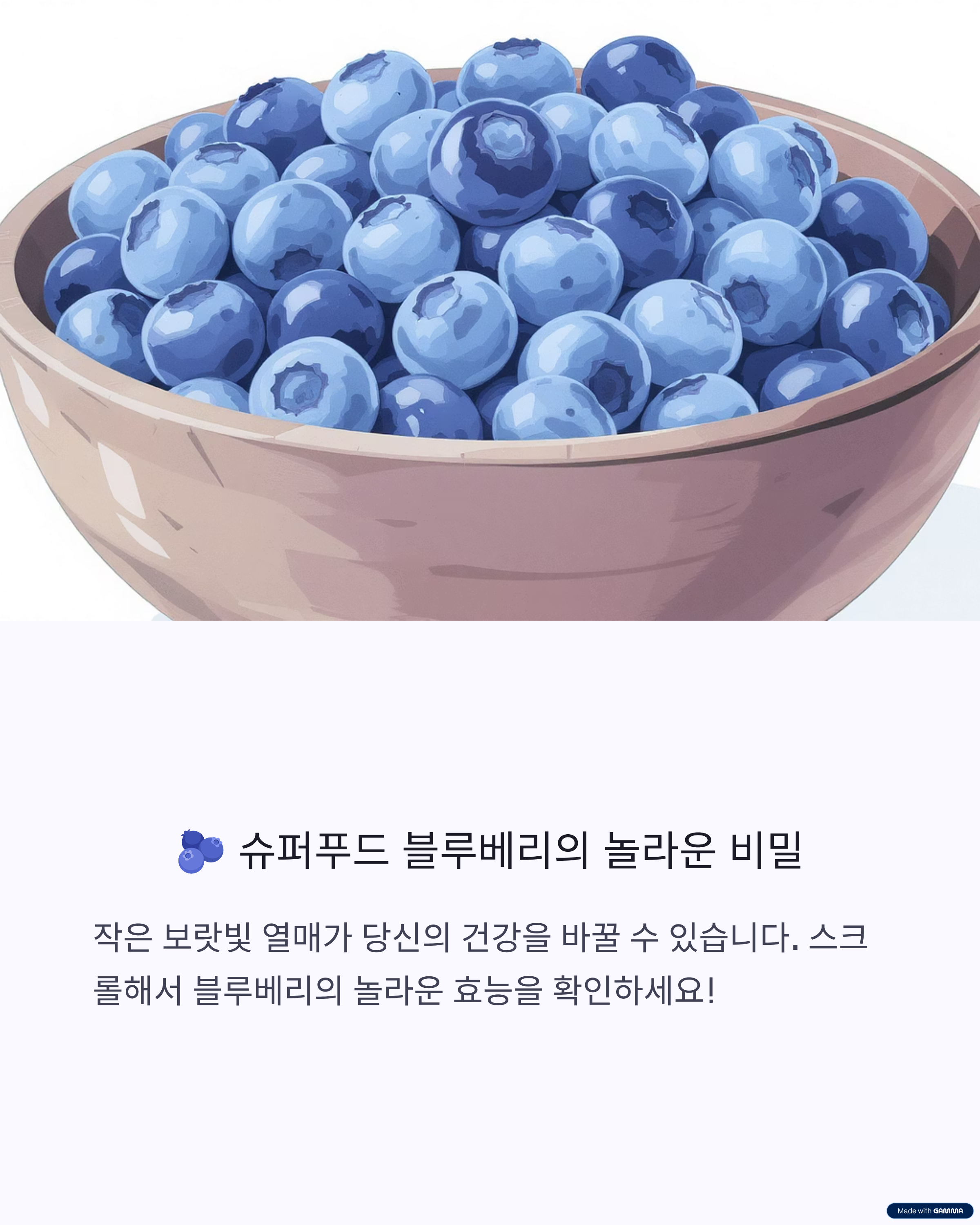 블루베리