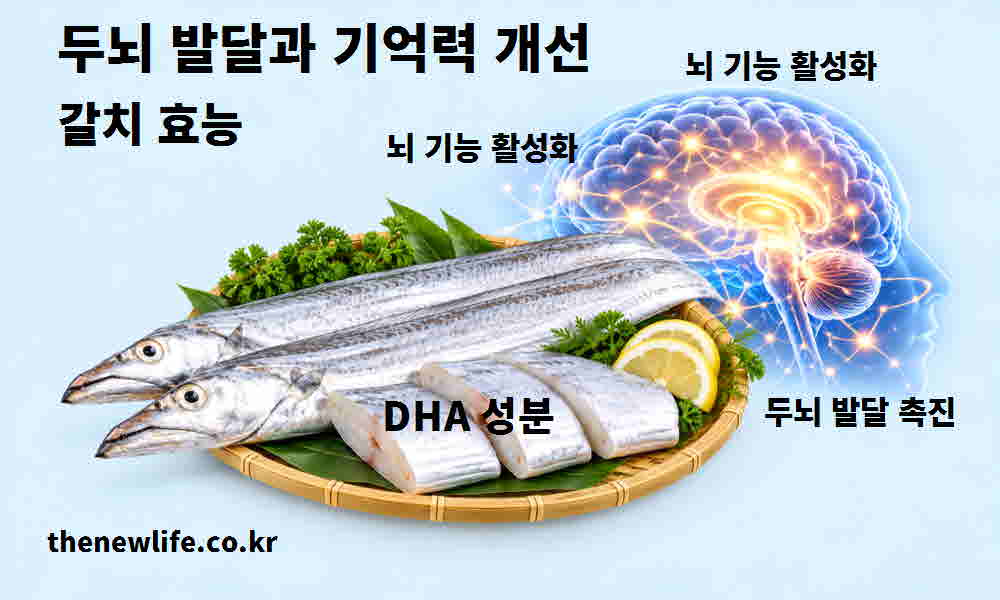 갈치 효능 두뇌 발달 기억력 개선