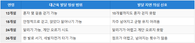 영유아기(1~3세) 발달 지연: 언어 및 운동 발달 평가 기준과 간호 관리