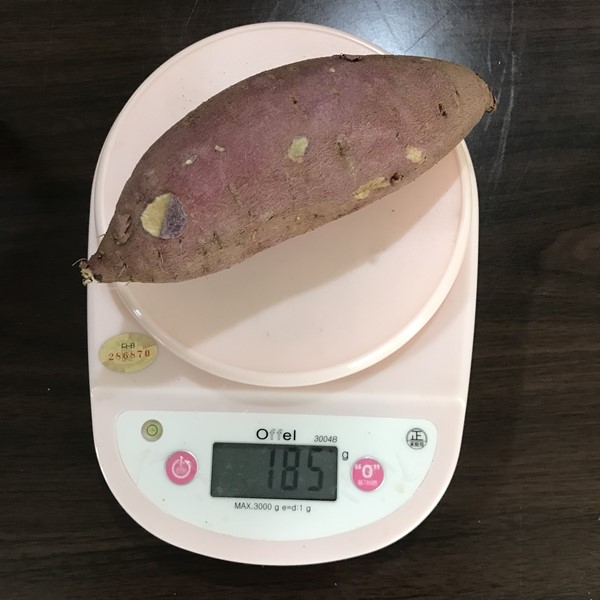 김의준 고구마 특상