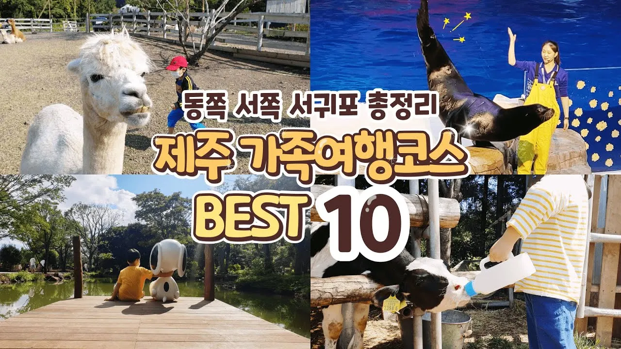 제주 가볼만한곳 맛집 카페 추천 겨울 현지인 코스_7