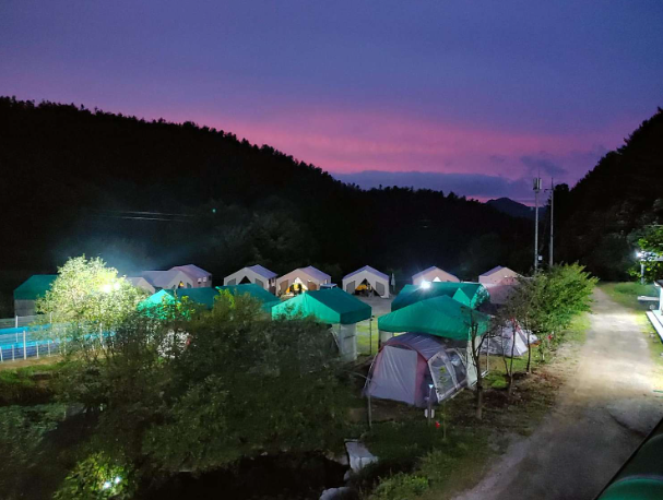 경기-가평에-링크독-애견파크-사진-입니다.