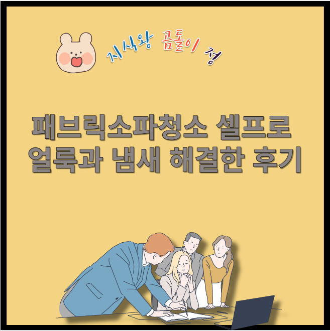 패브릭소파청소 셀프로 얼룩과 냄새 해결한 후기