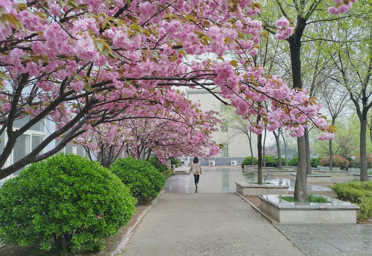 봄에 가기 좋은 부산 미술관