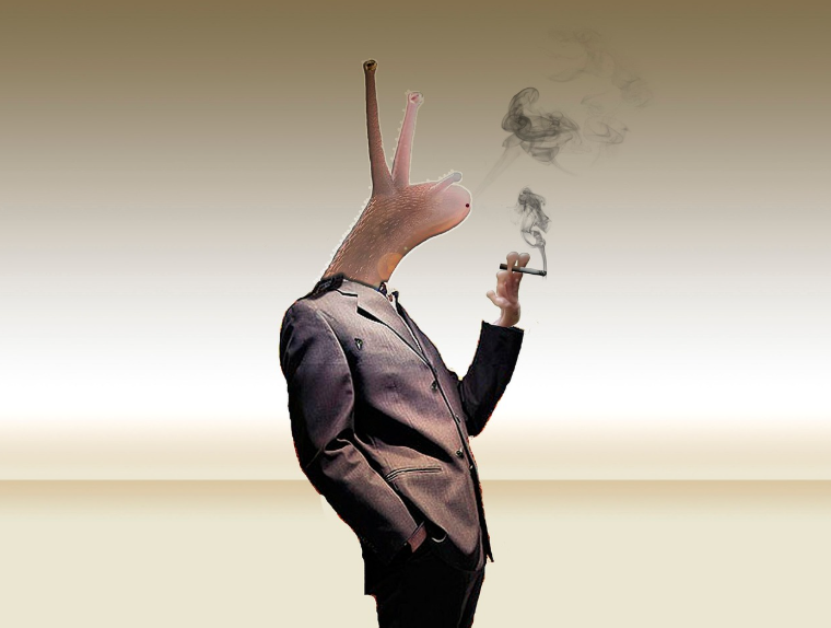 동물 관련 이상한 법률 &ndash; 캘리포니아에서는 개에게 담배를 주면 벌금