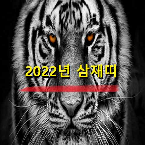 2022년삼재띠