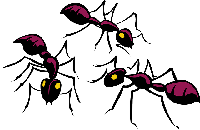 해충방역업체 견적비교&amp;#44; 무료진단 신청