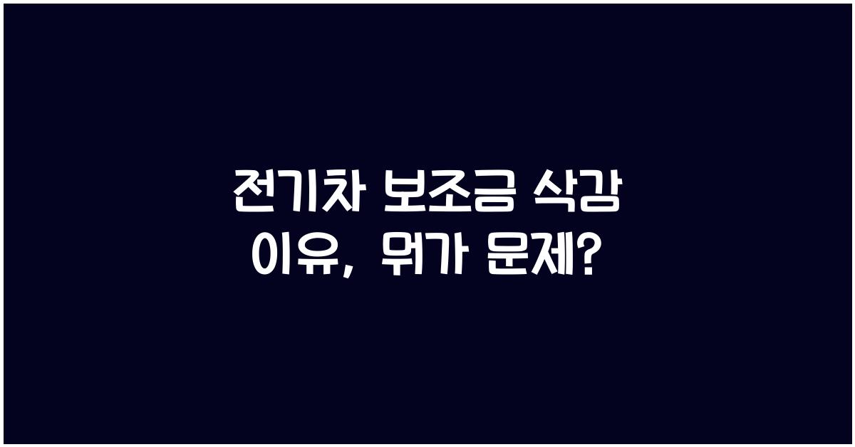 전기차 보조금 삭감 이유