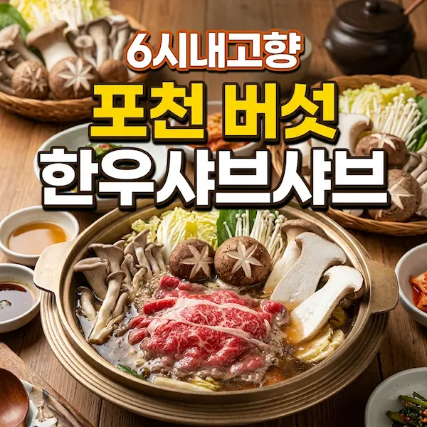 6시내고향 포천 버섯한우샤브샤브