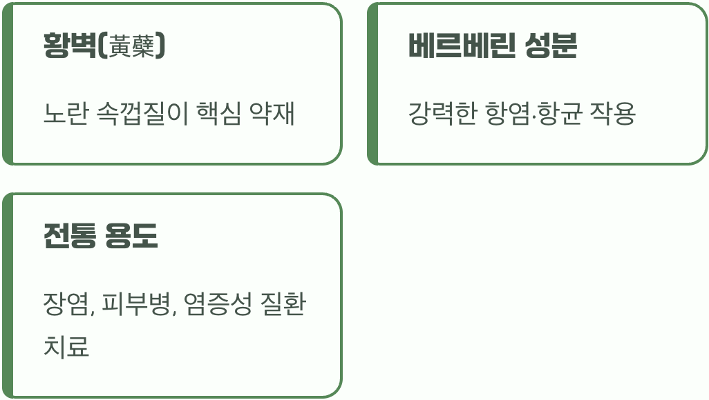우리가 약으로 쓰는 건 ‘껍질’이에요