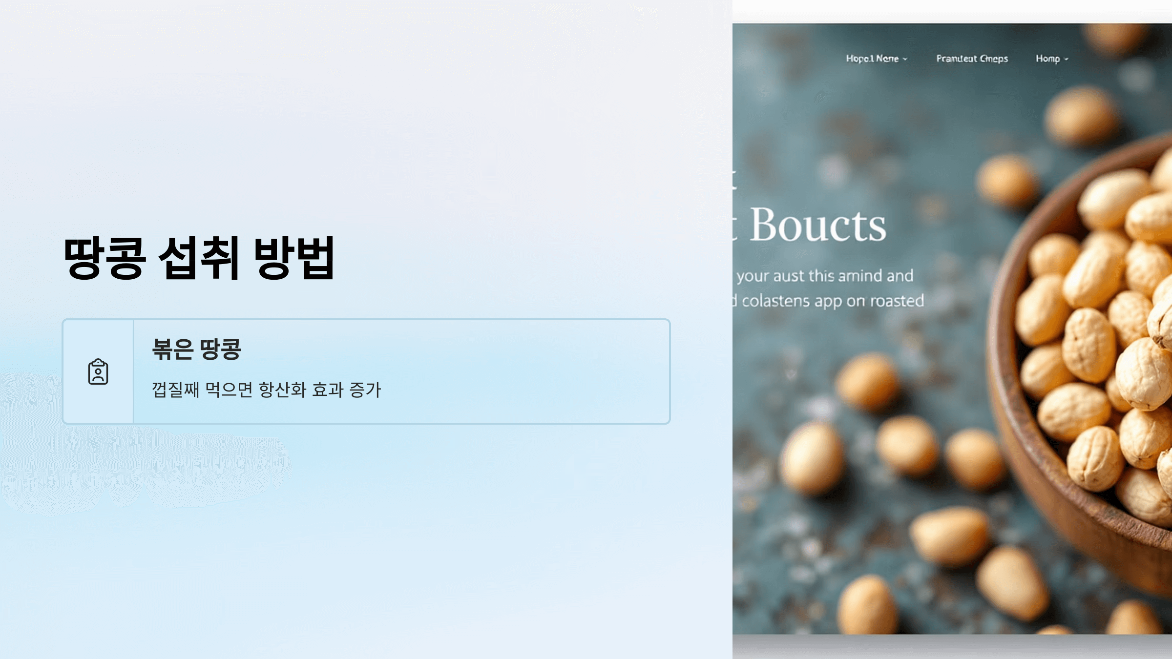 땅콩 사진입니다.