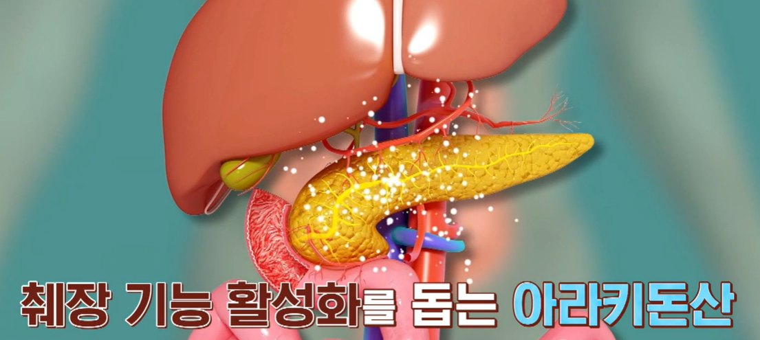 흑염소 진액 효능